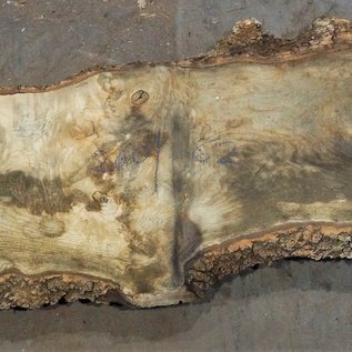 Ash fiddleback, approx. 2600 x 620 (1070/530) x 52mm, 60 kg, 13077