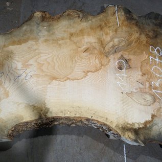 Ash fiddleback, approx. 2600 x 760 (1100/600) x 52mm, 75 kg, 13078