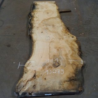 Ash fiddleback, approx. 2600 x 830 (1110/680) x 52mm, 85 kg, 13079