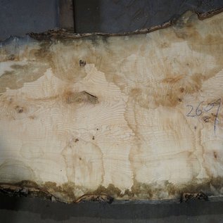 Ash fiddleback, approx. 2600 x 900 (1200/730) x 52mm, 90 kg, 13080