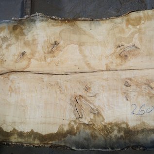 Ash fiddleback, approx. 2600 x 960 (1180/800) x 52mm, 100 kg, 13082