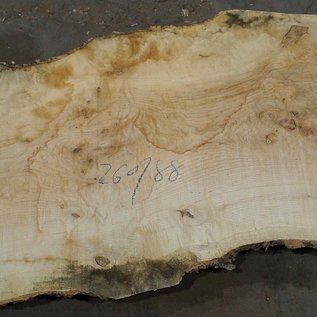 Ash fiddleback, approx. 2600 x 880 (1070/720) x 52mm, 90 kg, 13084