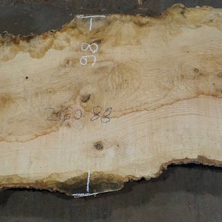 Ash fiddleback, approx. 2600 x 880 (980/680) x 52mm, 90 kg, 13085