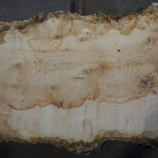 Ash fiddleback, approx. 2600 x 880 (980/680) x 52mm, 90 kg, 13085