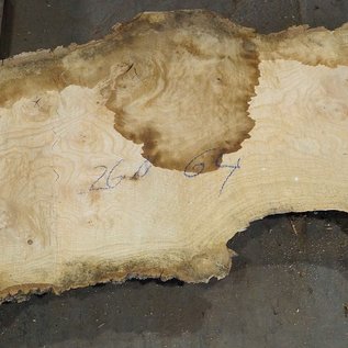 Ash fiddleback, approx. 2600 x 640 (980/550) x 52mm, 65 kg, 13088