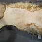 Ash fiddleback, approx. 2600 x 640 (980/550) x 52mm, 65 kg, 13088