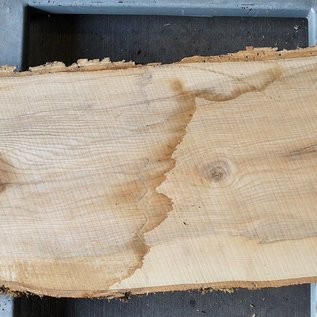 Ash fiddleback, approx. 1550 x 350 x 52mm, 20 kg, 13102