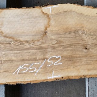 Ash fiddleback, approx. 1550 x 520 x 52mm, 26 kg, 13103