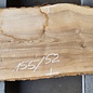 Esche Tischplatte, ca. 1550 x 520 x 52mm, 26 kg, 13103