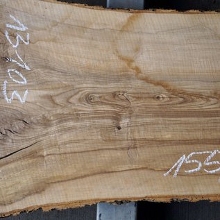 Ash fiddleback, approx. 1550 x 520 x 52mm, 26 kg, 13103