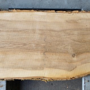 Ash fiddleback, approx. 1550 x 520 x 52mm, 26 kg, 13103