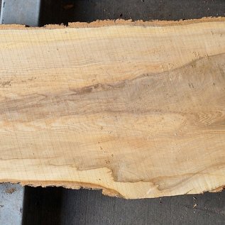 Ash fiddleback, approx. 1550 x 350 x 52mm, 21 kg, 13104