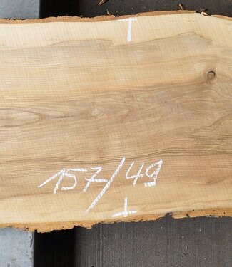 Esche Tischplatte, ca. 1570 x 490 x 52mm, 24 kg, 13105