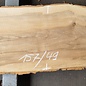 Ash fiddleback, approx. 1570 x 490 x 52mm, 24 kg, 13105