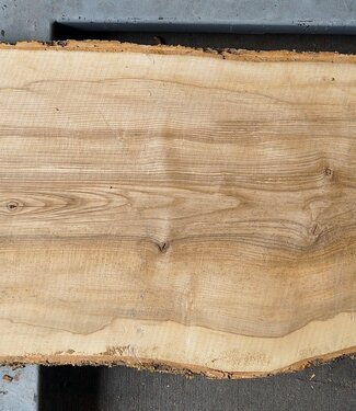 Ash fiddleback, approx. 2600 x 880 (980/680) x 52mm, 90 kg, 13085