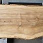 Ash fiddleback, approx. 1560 x 540 x 52mm, 28 kg, 13106