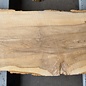 Esche Tischplatte, ca. 1570 x 460 x 52mm, 25 kg, 13108