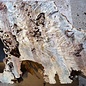 Buckeye burl slab, approx. 1870 x 630 x 52 mm, 40871