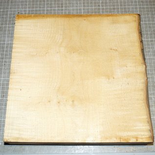 Bergahorn Riegel, ca. 300 x 300 x 52mm, 2,8kg