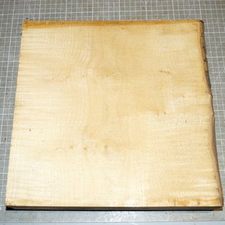 Maple fiddleback, approx. 300 x 300 x 52mm, 2,8kg