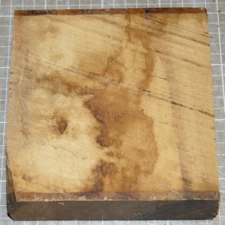 African Birch, approx. 150 x 150 x 52 mm, 1,3 kg