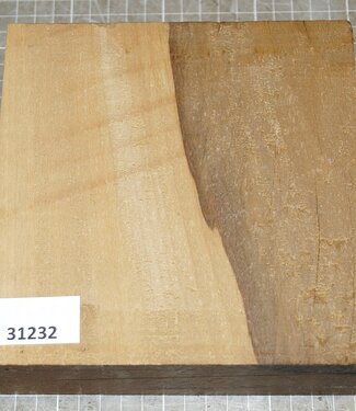 Afrikanische Kernbirke, ca. 170 x 165 x 55 mm, 1,6 kg