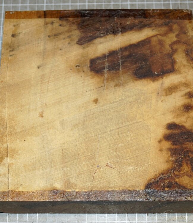 African Birch, approx. 200 x 200 x 51 mm, 2,3 kg