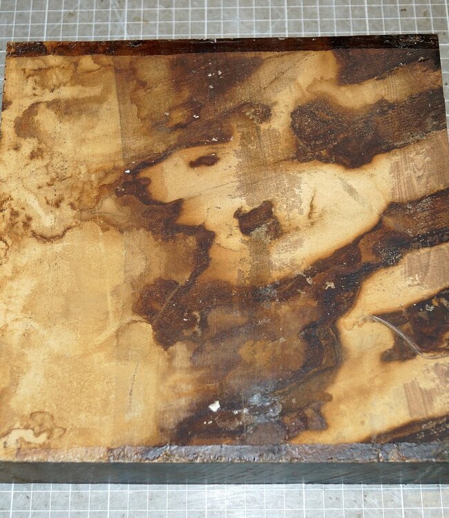 Afrikanische Kernbirke, ca. 235 x 235 x 52 mm, 3,2 kg