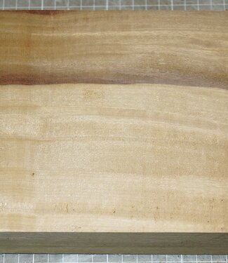 Afrikanische Kernbirke, ca. 245 x 155 x 51 mm, 2,2 kg