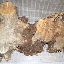 Buckeye burl slab, approx. 650 x 360 x 52mm, 3,4kg