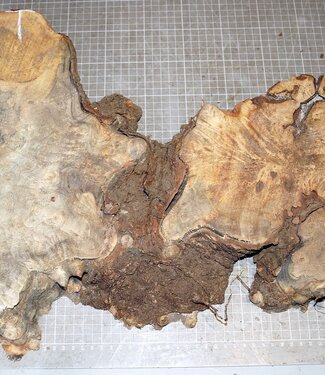 Buckeye Maser, ca. 650 x 360 x 52mm, 3,4kg