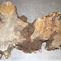 Buckeye burl slab, approx. 650 x 360 x 52mm, 3,4kg