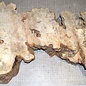 Buckeye burl slab, approx. 650 x 360 x 52mm, 3,4kg