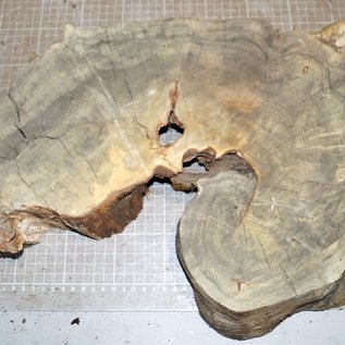 Buckeye burl slab, approx. 590 x 320 x 52mm, 2,9kg