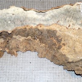 Buckeye burl slab, approx. 660 x 250 x 52mm, 2,8kg