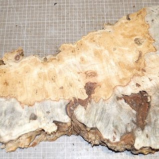 Buckeyeburl slab, approx. 660 x 250 x 52mm, 2,8kg