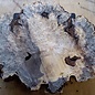 Buckeye burl slab, approx. 580 x 440 x 52mm, 4,7kg