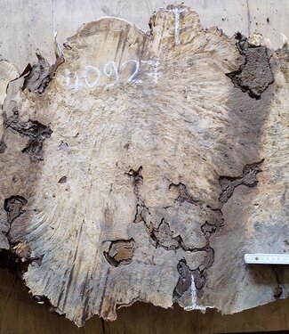 Buckeye Maser, ca. 940 x 570 x 50mm, 9,1kg