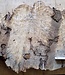 Buckeye burl slab, approx. 940 x 570 x 50mm, 9,1kg