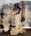 Buckeye burl slab, approx. 940 x 570 x 50mm, 9,1kg