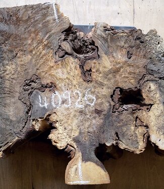 Buckeye Maser, ca. 650 x 560 x 52mm, 5,3kg