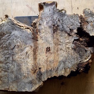 Buckeye burl slab, approx. 650 x 560 x 52mm, 5,3kg