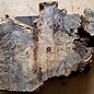 Buckeye burl slab, approx. 650 x 560 x 52mm, 5,3kg