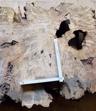 Buckeye burl slab, approx. 1080 x 570 x 55mm, 11,0kg