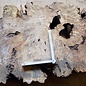 Buckeye burl slab, approx. 1080 x 570 x 55mm, 11,0kg