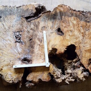 Buckeye burl slab, approx. 1080 x 570 x 55mm, 11,0kg