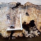 Buckeye burl slab, approx. 1080 x 570 x 55mm, 11,0kg