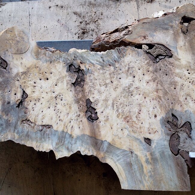 Buckeye burl slab, approx. 1000 x 620 x 52mm, 9,7kg