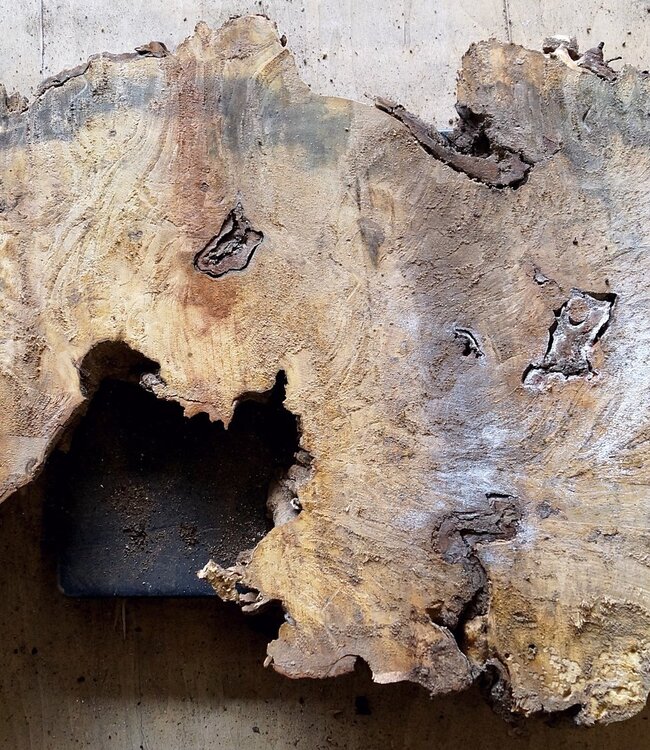 Buckeye Maser, ca. 1070 x 510 x 52mm, 8,9kg