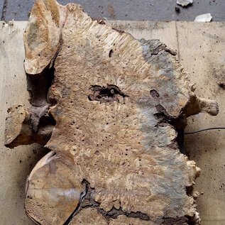 Buckeye burl slab, approx. 650 x 610 x 55mm, 5,9kg